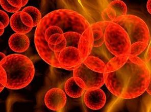 ΢����ȪԴҩ���Ʊ������о�����������Ҫ������