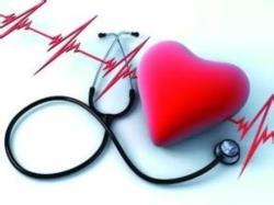 2015��11������ҩ��������