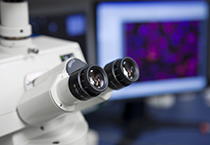 ��ί�������ҩ������Ǯ���Ӳ콫����