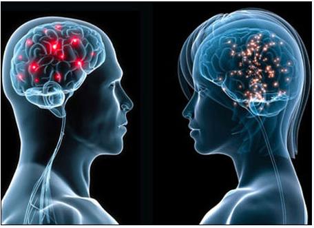 52ҽҩñϽ˹ڳ´벩ʿıCROйʽ·