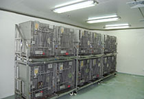 ������ʱ - �������ǲ�!