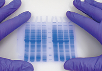 �㽭ҽҩʵ��󿵽���������