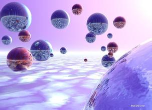 1��6��,������ʱԱ��һ�𻶶�2011���