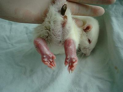 ������ʱ - �������ǲ�!