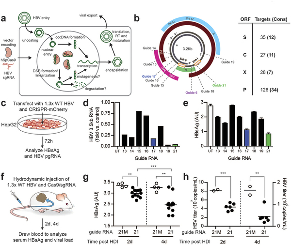�����Ҹβ�����������༭���򡰼��С��Ҹβ���