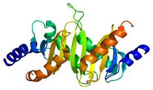 ��ѧ�ϳɶ���ҩ��