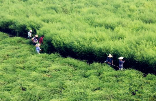 ������ʱ - �������ǲ�!