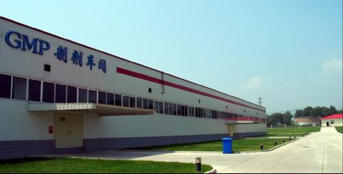�°�GMP�ļ���������