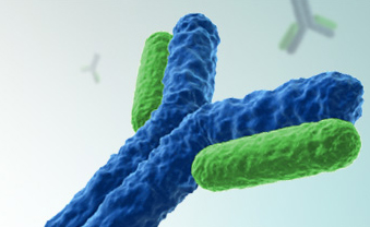 �Ѱ�����ɢ��������Ч�͹�˾