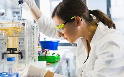 С���Ӻ�ѡҩ��ǰ����