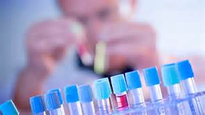 2016��ҩ�з���Ԥ��