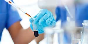 ������ע���걨�����������ݱ�