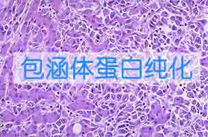 �������Ѱ״����͸���