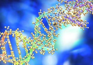 �̻�����FDA��׼���е�ת����ֲ����������ҩ