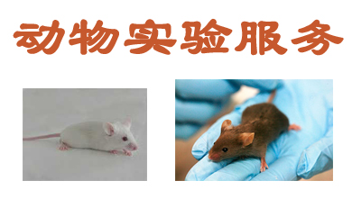 ������ʱ����ʵ�����Ч��