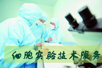 ������ʱϸ��ʵ��Ч�����