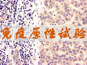 ������ʱ����ԭ������Ч��