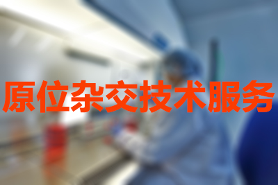 ������ʱԭλ�ӽ�����Ч��