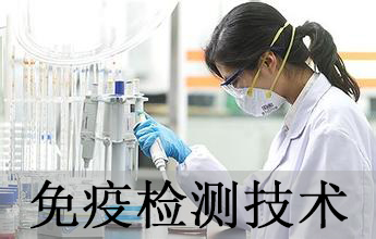 ������ʱ����ѧ�����������Ч��