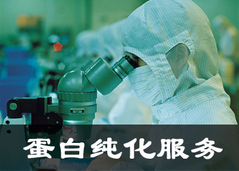 �Ѱ״���Ч�͹�˾