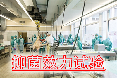 �־�Ч������