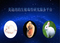 ʱֳоЧƽ̨
