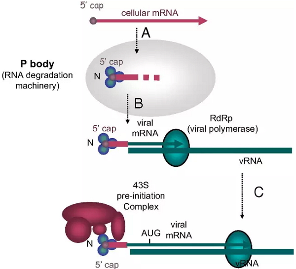 ������ʱ - �������ǲ�!