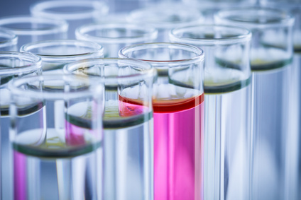 ��һ�����������������չ�˾��˭��