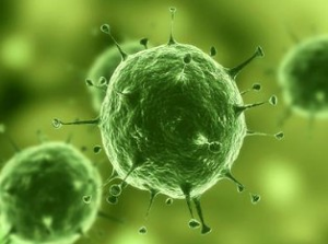 Nature������ʵ����������ȷ�б���������ϸ��ȷʵ����