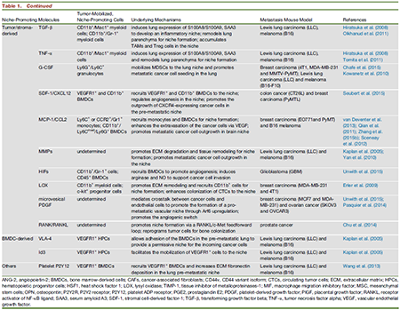 ×ðÁú¿Ê± - ÈËÉú¾ÍÊDz«!