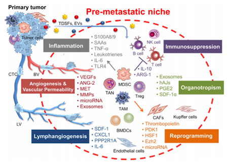 ×ðÁú¿Ê± - ÈËÉú¾ÍÊDz«!