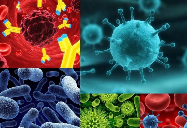 2016�꼲��ģ���о�ϣ��