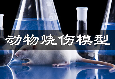 ��������ģ��