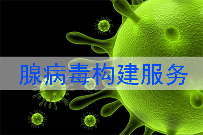 �ٲ�������Ч��