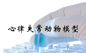 ����ʧ������ģ�ӵĽ���