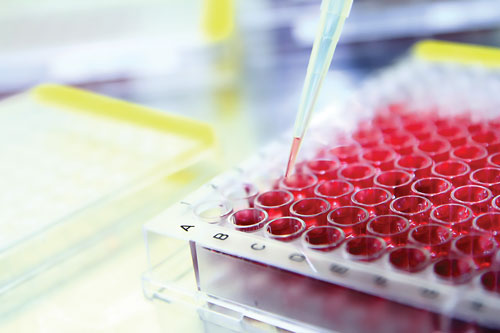 2017�ϰ���FDA��׼ҩƷȫ��λ���