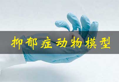 ���Ǻ���������ģ��