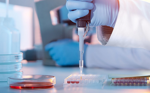 ��ʽϸ���������