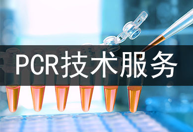 PCR����Ч�ͼ�������