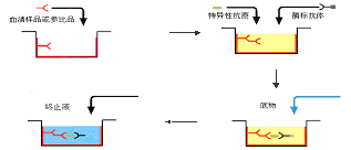 ʱ - ǲ!