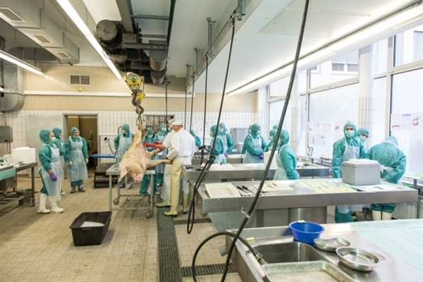 �������ݽ���ҽҩ��ҵ�������ࡱ