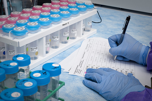 ������ɳ����ʤ�������BE��Ʒ��˭��ս��