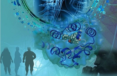 ¡¾ÅÌ»õ¡¿µ¥õ£¸ÊÓÍõ¥Ã¸£¨MAGL£©ÒÖÖÆ¼ÁµÄÑо¿Ï£Íû