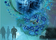 ���̻���BTK���Ƽ����о�������