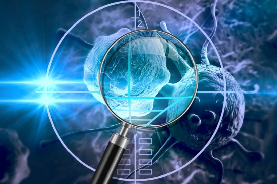 ���̻���������ҩ��--PI3K���Ƽ��������о�ϣ��