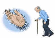 ����ɭ����������������