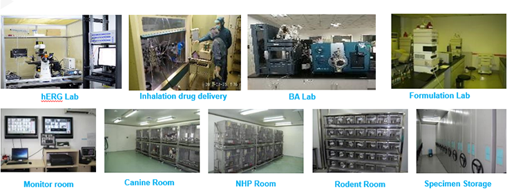 ×ðÁú¿Ê±¶¾ÀíÑо¿²¿×°±¸