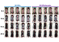 ���������⡱�ѷ�������ӭ�������