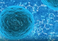 �������������ٰ����۷䶾Һ����Ҫ����