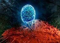 Nature��BATF3����Tϸ��Ӱ��Ӧ�����������������Ʒ�����Ч